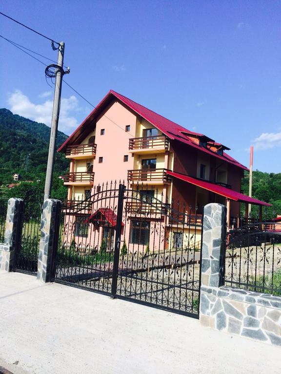 Pensiunea Cheile Argesului Capatineni-Paminteni Exterior foto